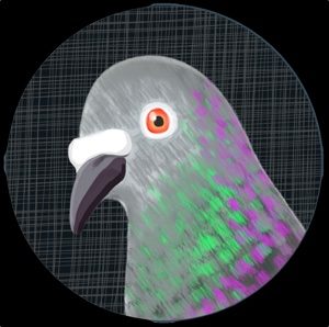 Logo of pigeon head in circle on black square.