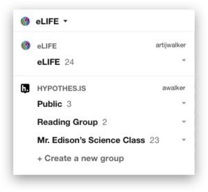 Screenshot of Hypothesis groups menu.