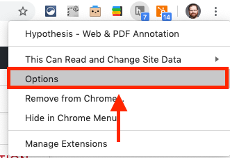 How to annotate on Google Chrome with the  extension 