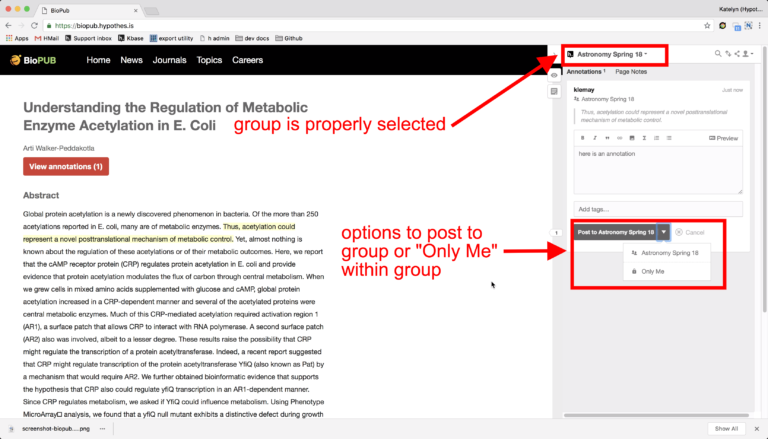 How to Annotate with Groups on Hypothesis
