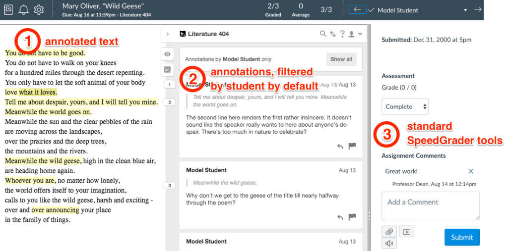 Screenshot of a Hypothesis annotation assignment in Instructure Canvas SpeedGrader.