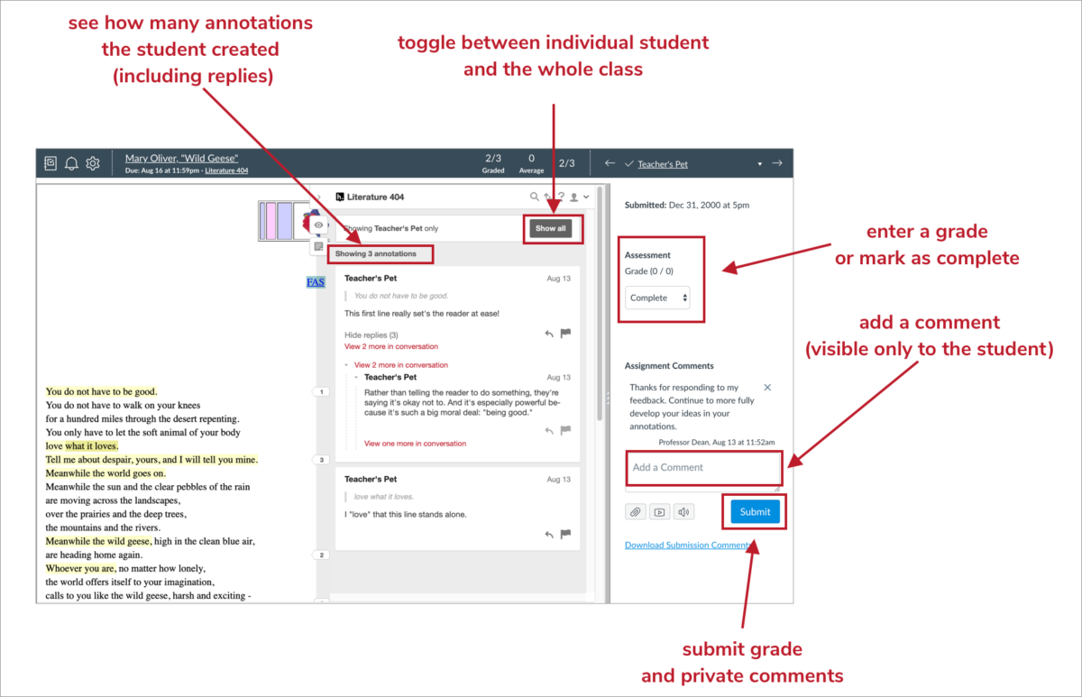 Grading Student Annotations in Canvas Hypothesis