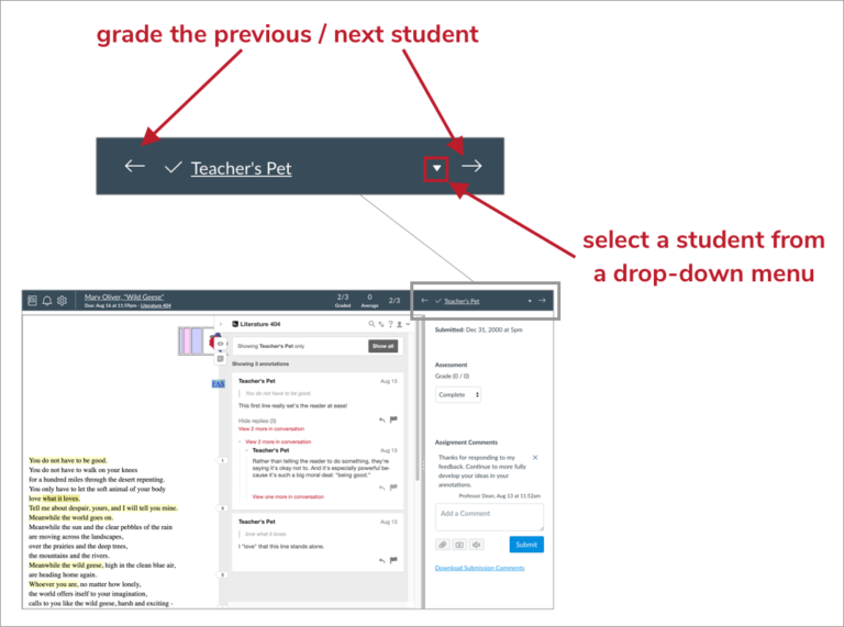 Grading Student Annotations in Canvas Hypothesis
